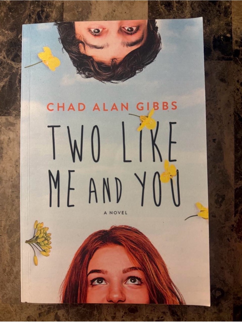 Book: Two Like Me and You